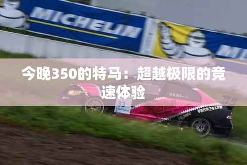 今晚350的特马：超越极限的竞速体验