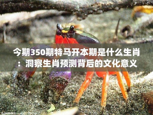 草率从事 第5页