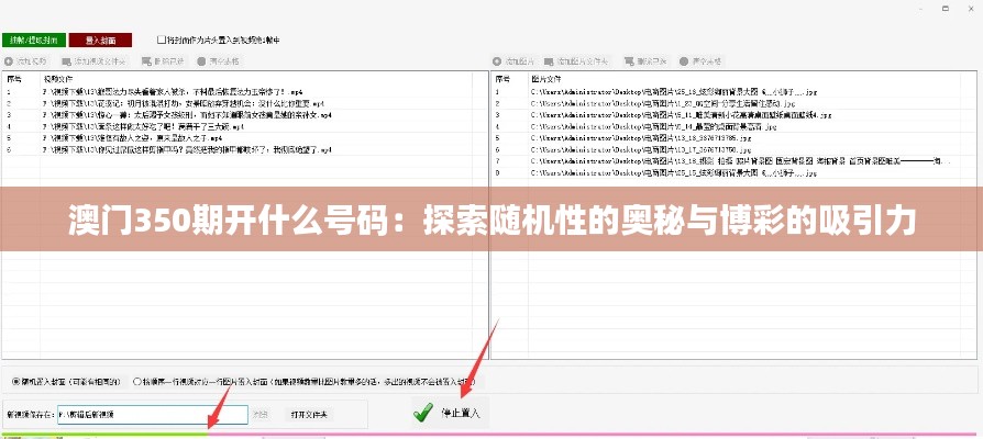 澳门350期开什么号码：探索随机性的奥秘与博彩的吸引力