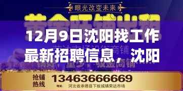 沈阳十二月九日求职盛宴，最新招聘信息与职场黄金机遇深度解析