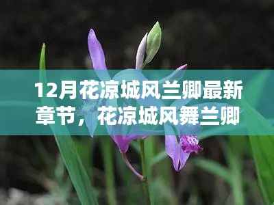 花凉城风舞兰卿,最新章节探秘与十二月精彩回顾