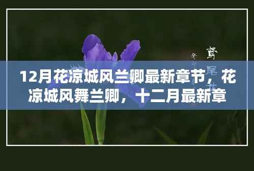 花凉城风舞兰卿,最新章节探秘与十二月精彩回顾