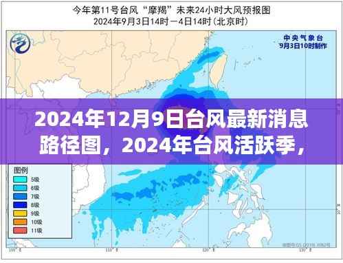 揭秘,台风活跃季最新动态,2024年台风路径图分析(附详细路径图)