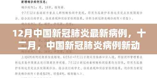 中国新冠肺炎最新病例动态，十二月防控措施优化与疫苗接种持续推进