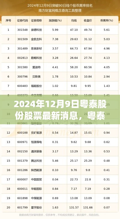 粤泰股份最新动态揭秘,2024年12月9日最新消息与前景展望