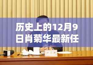 肖菊华新里程碑揭晓，历史上的12月9日最新任职公布
