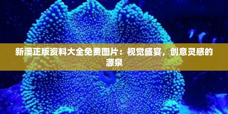 新澳正版资料大全免费图片：视觉盛宴，创意灵感的源泉