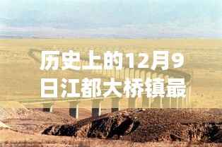 历史上的今天，江都大桥镇最新招聘动态揭秘，探寻职业发展新机遇