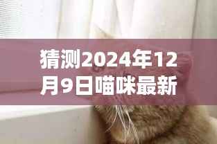 揭秘未来之门，喵星人新居猜测——喵咪最新地址预测（2024年12月9日）