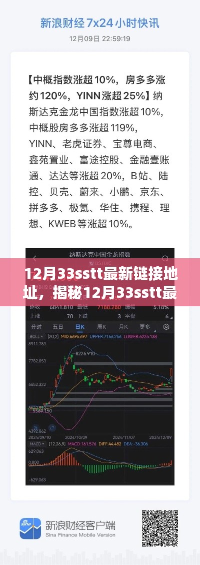 揭秘，最新链接地址探索与前沿资讯整合——关于12月33sstt的独家深度报道