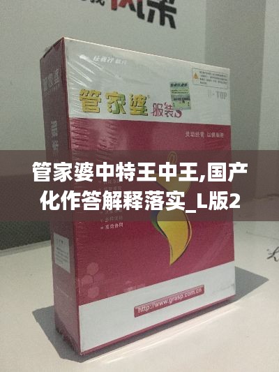 管家婆中特王中王,国产化作答解释落实_L版2.378