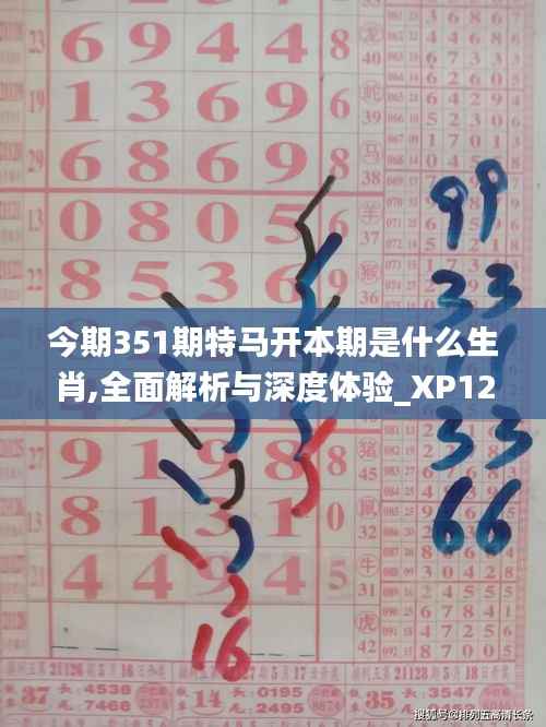 今期351期特马开本期是什么生肖,全面解析与深度体验_XP12.174