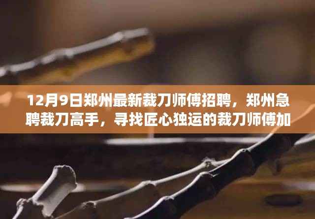 12月9日郑州裁刀师傅紧急招聘启事，寻找匠心高手加入专业团队