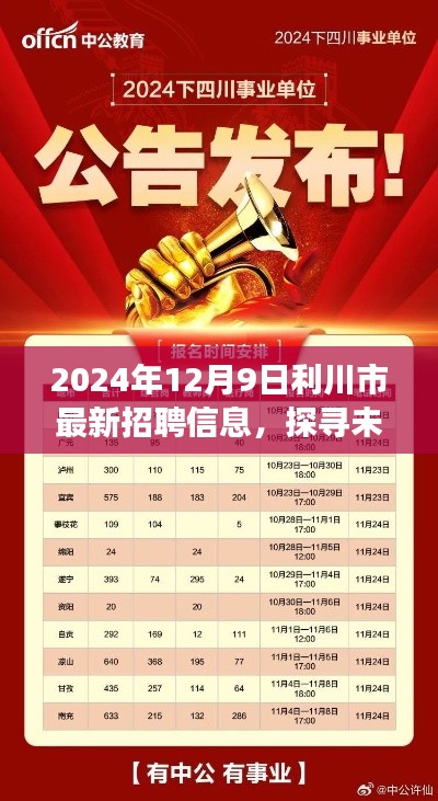 利川市最新招聘信息速递，探寻职场新机遇（2024年12月版）