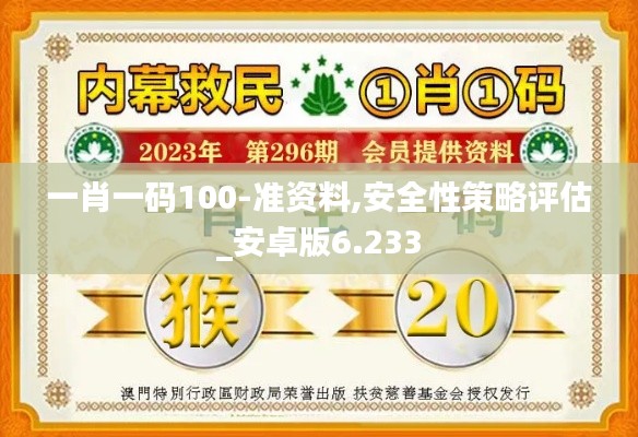 一肖一码100-准资料,安全性策略评估_安卓版6.233