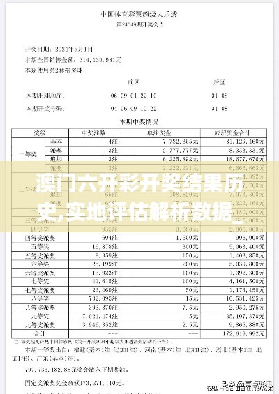 澳门六开彩开奖结果历史,实地评估解析数据_BT9.263