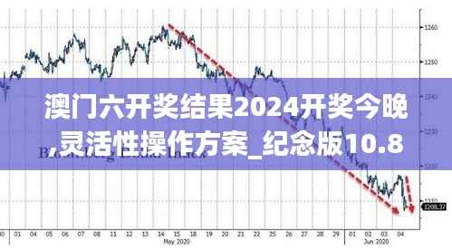 澳门六开奖结果2024开奖今晚,灵活性操作方案_纪念版10.810