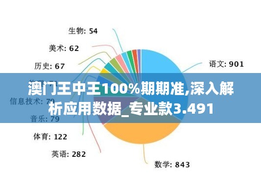 澳门王中王100%期期准,深入解析应用数据_专业款3.491