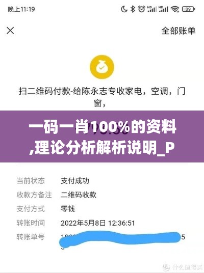 一码一肖100%的资料,理论分析解析说明_Prestige7.793