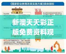 新澳天天彩正版免费资料观看,最佳实践策略实施_进阶款9.587