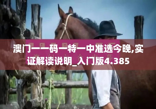 澳门一一码一特一中准选今晚,实证解读说明_入门版4.385