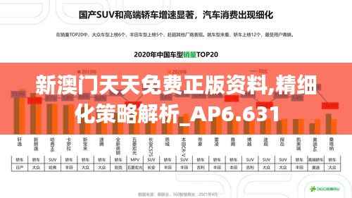 新澳门天天免费正版资料,精细化策略解析_AP6.631