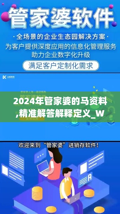 2024年管家婆的马资料,精准解答解释定义_Windows17.951