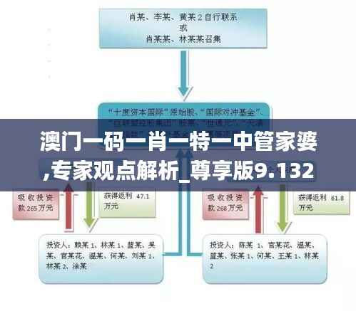 澳门一码一肖一特一中管家婆,专家观点解析_尊享版9.132