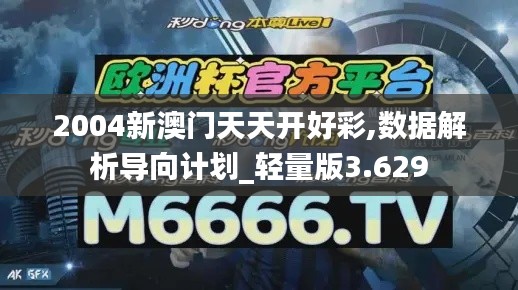 2004新澳门天天开好彩,数据解析导向计划_轻量版3.629