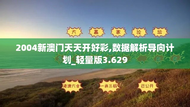 2004新澳门天天开好彩,数据解析导向计划_轻量版3.629