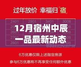 揭秘宿州中辰一品最新进展与未来展望，十二月最新动态速递