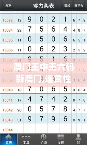 澳门王中王六码新澳门,连贯性执行方法评估_特别款6.132