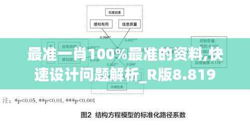 最准一肖100%最准的资料,快速设计问题解析_R版8.819