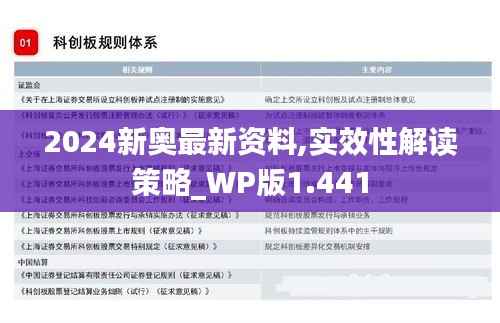 2024新奥最新资料,实效性解读策略_WP版1.441