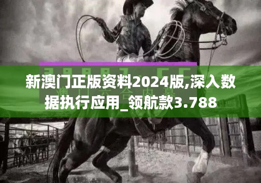 新澳门正版资料2024版,深入数据执行应用_领航款3.788