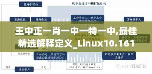 王中正一肖一中一特一中,最佳精选解释定义_Linux10.161