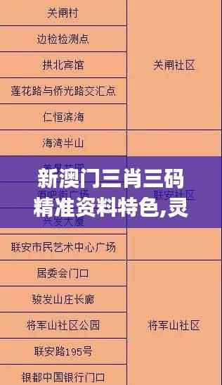 新澳门三肖三码精准资料特色,灵活解析实施_Max1.273