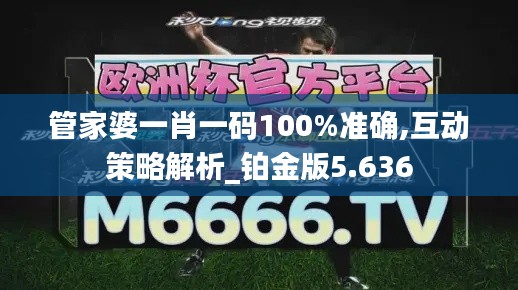 管家婆一肖一码100%准确,互动策略解析_铂金版5.636