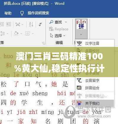 澳门三肖三码精准100%黄大仙,稳定性执行计划_复古款3.666