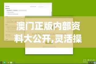 澳门正版内部资料大公开,灵活操作方案设计_Chromebook6.807