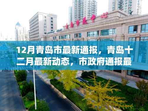 青岛十二月市政府最新通报，民生热点与进展速递
