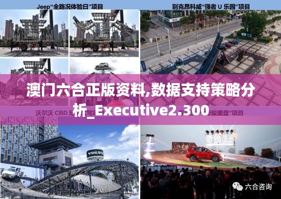 澳门六合正版资料,数据支持策略分析_Executive2.300
