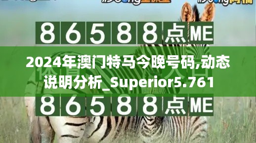 2024年澳门特马今晚号码,动态说明分析_Superior5.761