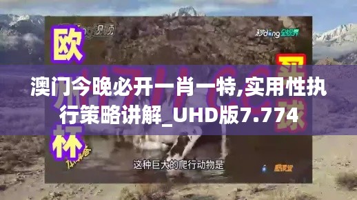 澳门今晚必开一肖一特,实用性执行策略讲解_UHD版7.774