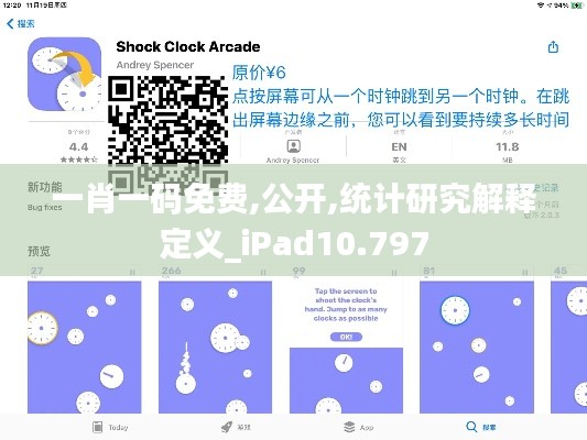 一肖一码免费,公开,统计研究解释定义_iPad10.797