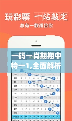 一码一肖期期中特一1,全面解析数据执行_V版9.592