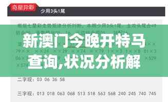 新澳门今晚开特马查询,状况分析解析说明_尊贵版10.327