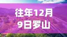 往年12月9日罗山九龙城房价走势及最新动态揭秘