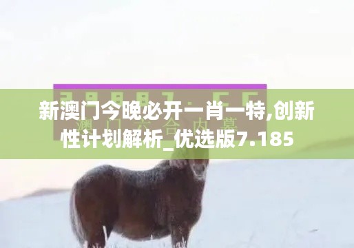新澳门今晚必开一肖一特,创新性计划解析_优选版7.185