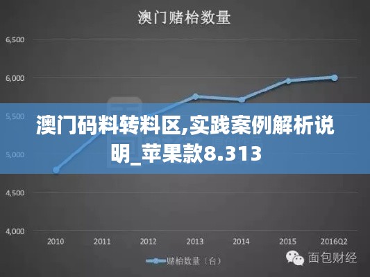 澳门码料转料区,实践案例解析说明_苹果款8.313